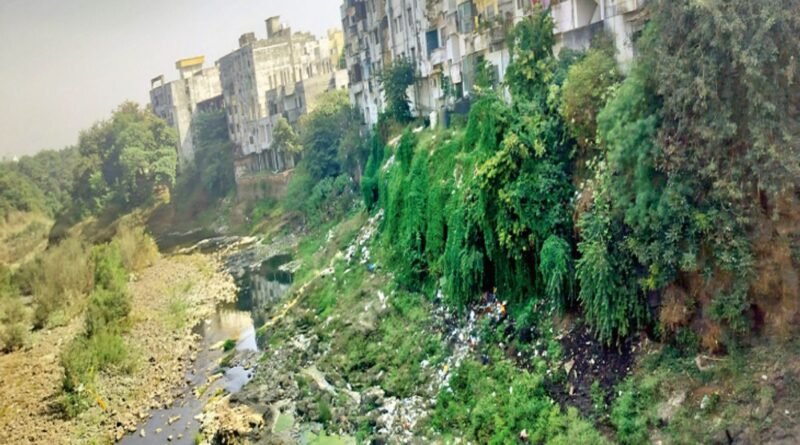 कलियासोत के कब्जों पर एनजीटी सख्क….हा- सीएस तक पहुंचाएं मामला, ताकि ठोस कार्रवाई हो !!!!